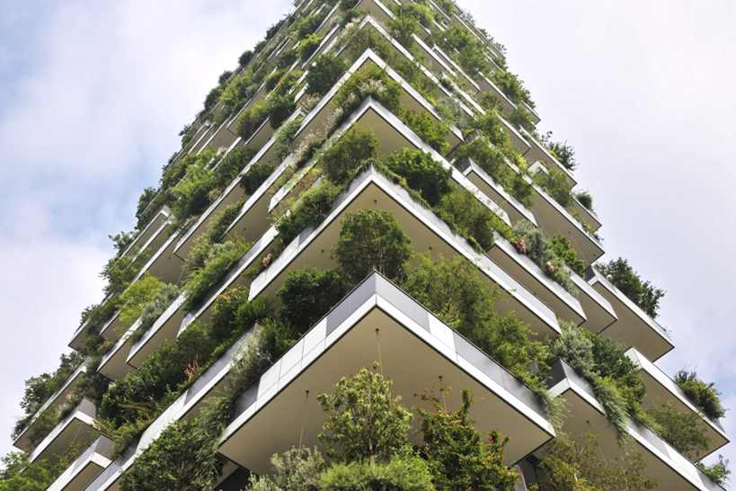 Download Guia do Jardim Vertical